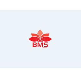 BMS Lifestyle