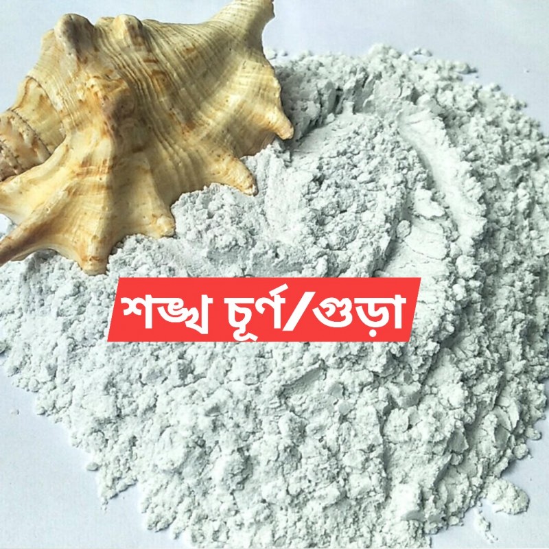 Conch Shell Powder (শংখ গুড়া) - ১০০গ্রাম
