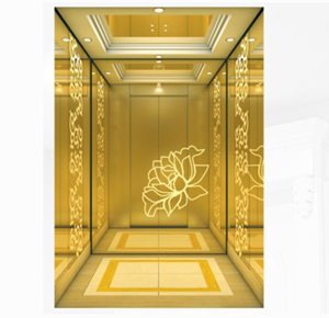 Passenger Elevator 480 KG 6 Person Fuji CN