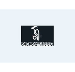 Kookaburra