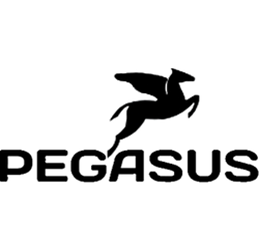 Pegasus