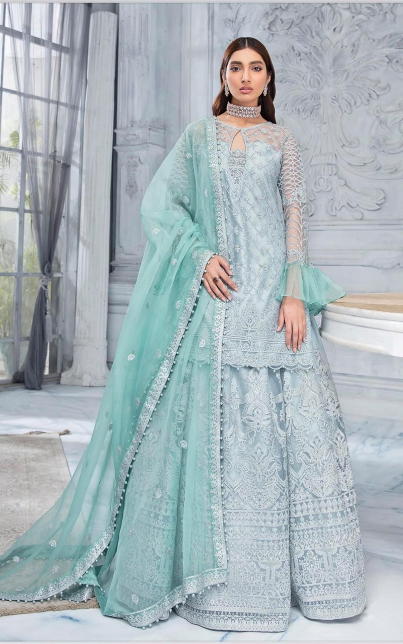 Azalea chiffon collection Dupatta chiffon & organza
