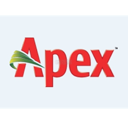 apex